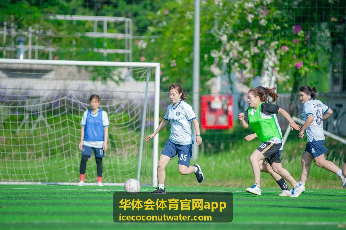 华体会体育官网app 活动福利 签到积分福利封面图