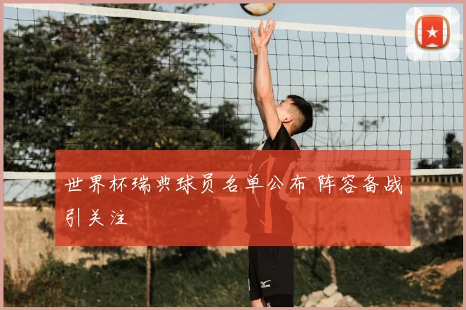 世界杯瑞典球员名单公布 阵容备战引关注